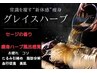 2stepボディメンテ(リンパ+排出) オールハンド筋膜リンパ60分+ハーブ30分