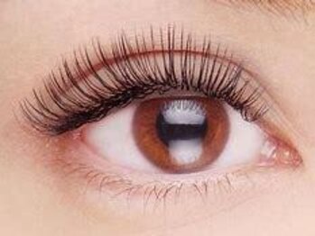 グラマラス プレジール 中野店(glamourous plaisir)/フラットラッシュ