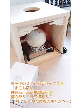 アステキ(ASUTEKI)/ヨモギの276倍デトックスまこも