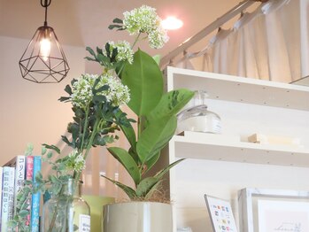 シェリール(cherir)/