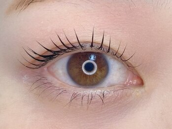 ワンドット 長崎店(One.)の写真/自分のまつげで自然に瞳力UP♪《まつげパーマ+アシッドTr￥4000》まつ毛ケア美容液も大人気！