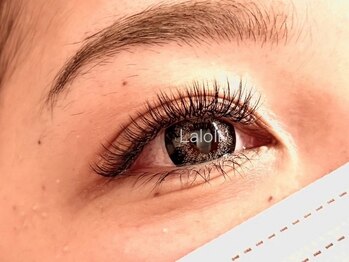 ラロリ(Laloli)/【バインドロック】140束