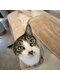 サロン ねこの写真/【国際センター/丸の内徒歩5分】心と身体の状態に合わせたオイルトリートメントで深層部までホロホロに…