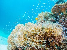 アジアンリラクゼーション ヴィラ 福岡東店(asian relaxation villa)/バリ離島：ムンジャンガ ン島