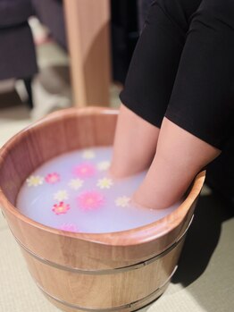 彗星蘭 浅草店/