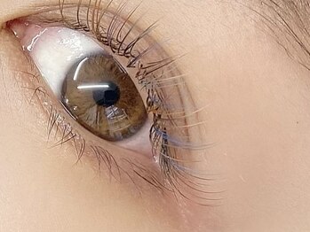 リリーベイブ(LILY BABE)/【カラー】種類豊富なカラー