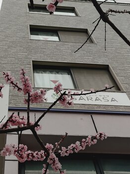 サラサ(SARASA)/外感