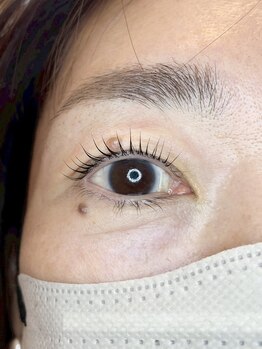 ダーム ド ローズ(Dame de rose)/【まぶたが上がるまつ毛パーマ】