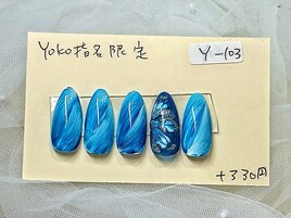 個性派ピーコックフラワーY-103