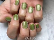 ブリスネイル(bliss-nail)/マグネットワンカラー