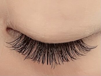 カラン 焼津店(CALIN)/ボリュームラッシュ100束