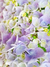 エリクサーネイル 西武新宿(Elixir Nail) 赤間 礼海