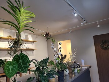 虹(Niji)/◆店内の様子