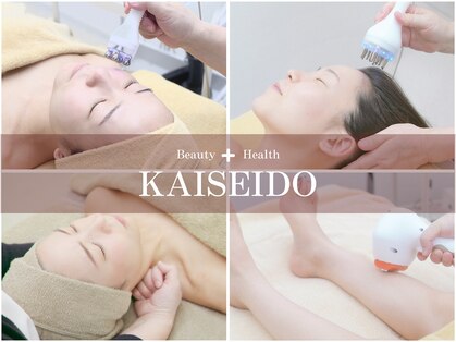 カイセイドウ(KAISEIDO)の写真