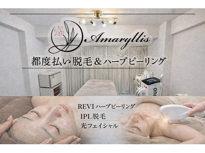 アマリリス(Amaryllis)の写真