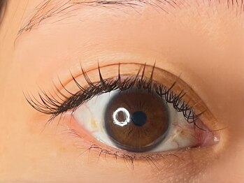 ラシク ベル(Lashiku Belle)/フラットラッシュ120本