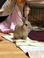 ラ ピラティス センター南店(La pilates)&nbsp;以前、実家でうさぎを飼っていたこともあり、うさぎ派です。