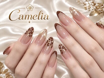 カメリア(Camelia)の写真