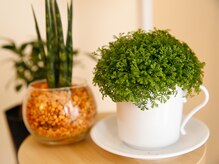 デトックスアンドビューティー ボディプラス(Detox&Beauty Body Plus)/観葉植物が癒し空間であちこち♪