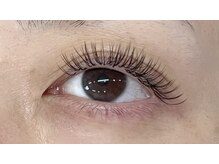 グルック(Gluck)/【ダブルフラットラッシュ80】