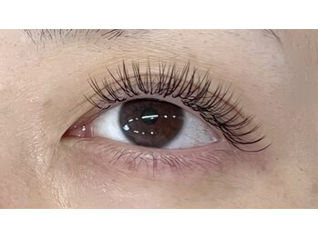 グルック(Gluck)/【ダブルフラットラッシュ80】