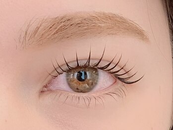 ケーズラッシュ(K's LASH)/眉毛WAX&まつ毛パーマ