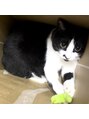 アミュゼ(Amuser)&nbsp; ペットのいちごちゃんです♪