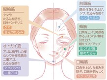 ラフェスタ 三鷹(LA FESTA)