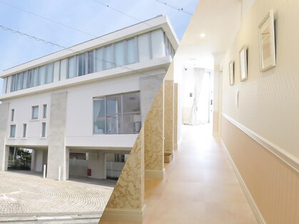 アヴェーラ(Avela)の写真