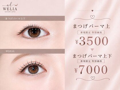 ウェリア(WELIA)の写真