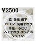 《結果重視☆光脱毛》二種類の照射方法で効率よく脱毛♪　¥2500