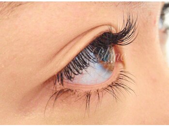 アイラッシュサロン ブラン 下関リピエ店(Eyelash Salon Blanc)/強めのカールで横顔も◎