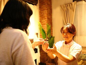 まるーん(Maruun)/アロマの選定