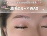 眉毛カラー＋美眉WAX(間引き・カット)