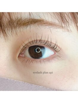 プラン アピ(plan api)/パリジェンヌラッシュリフト上下