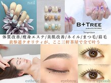 ビーツリー 三軒茶屋店(B+TREE produce by INFINEEZ)