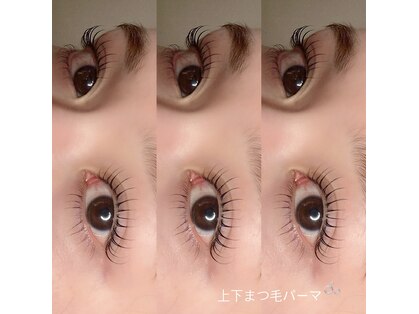 アイリス(eyeris)の写真