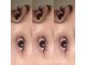 アイリス(eyeris)の写真