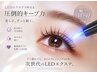 【LEDエクステ】 最高品質フラットラッシュ 上90分つけ放題