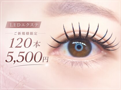 レンリー(Renly.)の写真