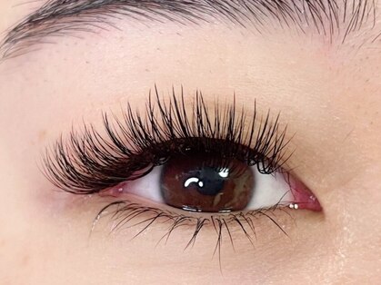 ハル(HAL)の写真