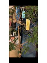 グラサヴォーグ 岐阜店(GRASA VOGUE)/今年7/7で移転OPEN25周年