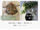 シキ(shiki)の写真