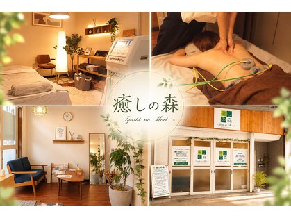 癒しの森の写真