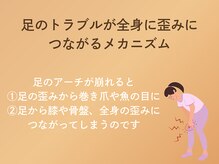 菊桃(kikumomo)/メカニズム