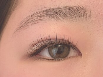 ラロリ(Laloli)/《フラットラッシュ》100本