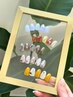 【定額ネイル】豊富なサンプルから選べる☆定額デザインネイル　¥6800