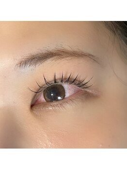 エクリプス(ECLIPSE)/フラットラッシュ140本