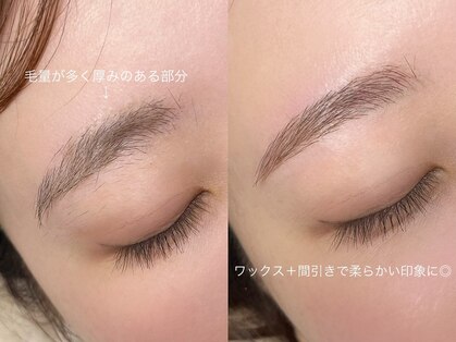 コア(koa)の写真