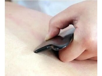 サロンドルネ(Salon De Rene)/背かなのカッサ